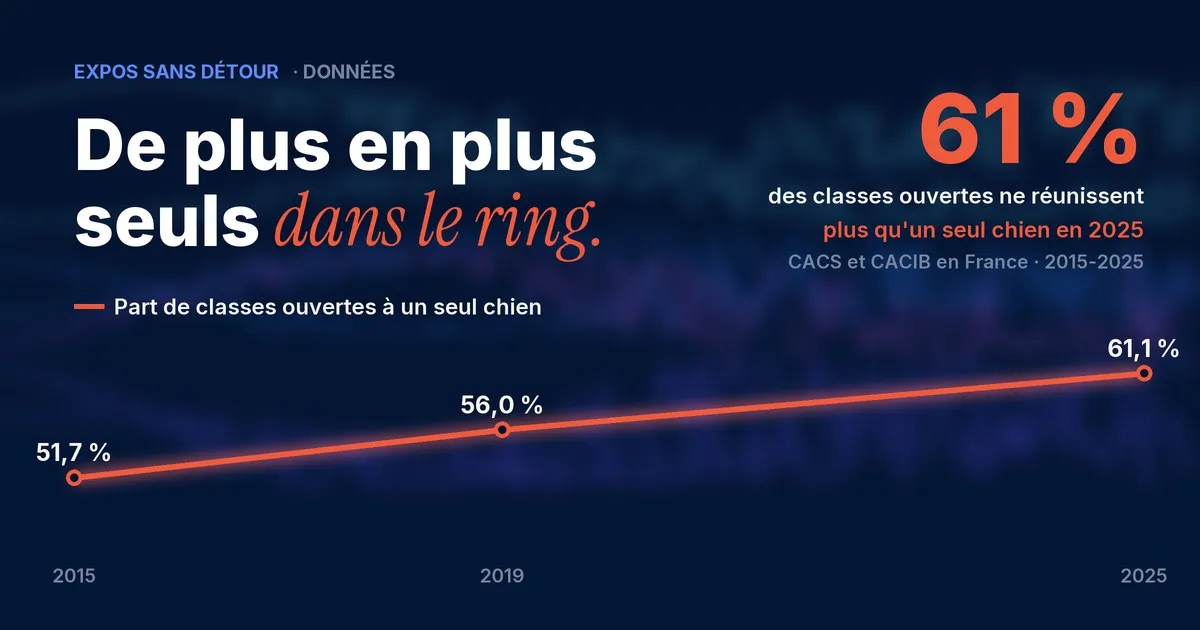Carte visuelle : de plus en plus seuls dans le ring, avec évolution des classes ouvertes à un seul chien.